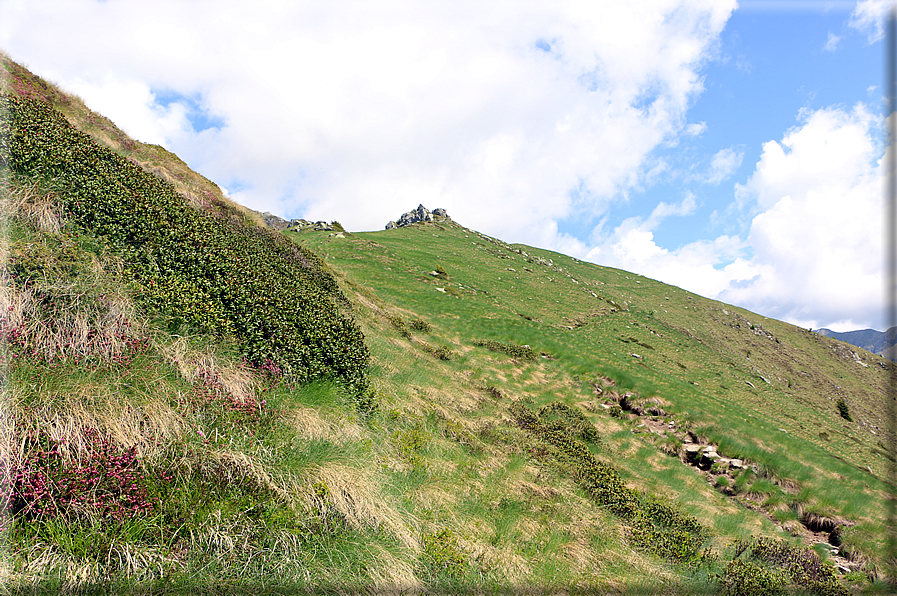 foto Rifugio Brentari